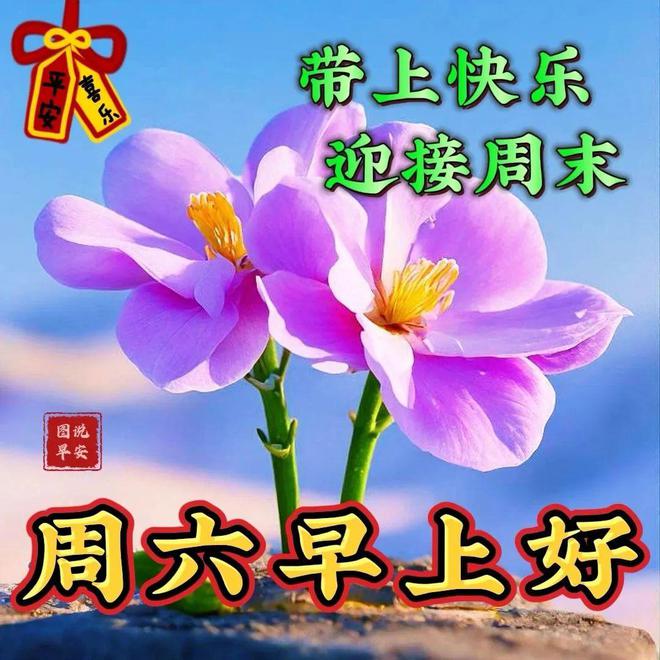 感恩同事祝福语大全-温馨同事祝福语，传递感激与友情，让疲惫烟消云散