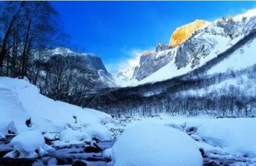 雪地幸存者刷属性攻略：如何在白茫茫的雪地中生存并成为小勇士