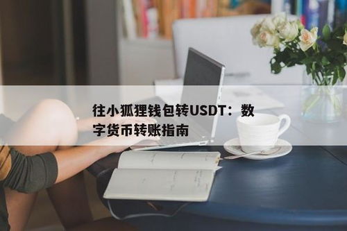 小狐狸钱包转usdt到币安,小狐狸钱包转USDT到币安的详细教程