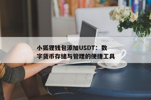 小狐狸钱包添加usdt币安主网,小狐狸钱包添加USDT币安主网教程