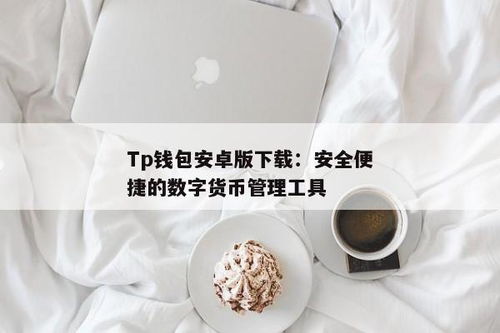 tp钱包安全下载,TP钱包安全下载指南