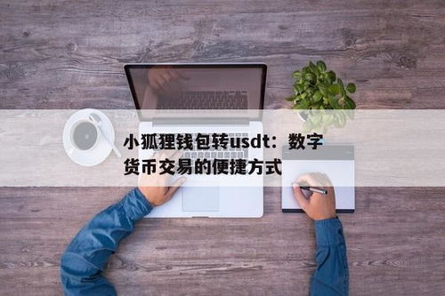 小狐狸钱包转usdt,操作指南与注意事项