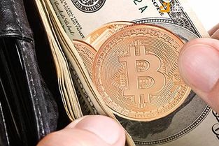 数字现金钱包,新时代的金融伴侣