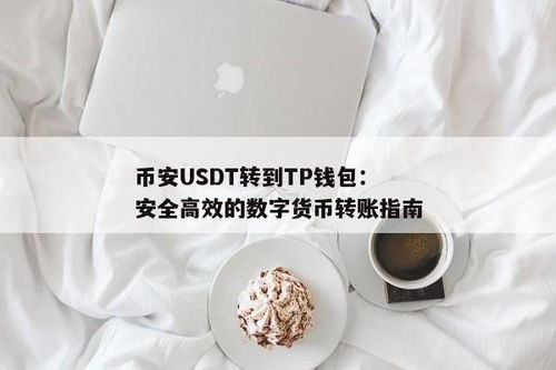 tp钱包怎么转账到币安,TP钱包如何转账到币安——详细操作指南