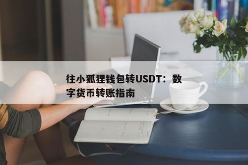 小狐狸钱包怎么取币教程下载,轻松掌握数字货币提现步骤