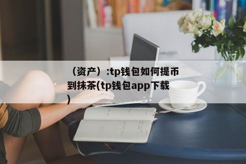 如何把币提到tp钱包中,如何把币提到TP钱包中——详细操作指南
