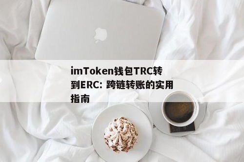 钱包trc怎么换成erc,准备工作