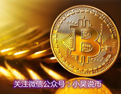 兔王比特币,加密货币市场的“兔子”崛起