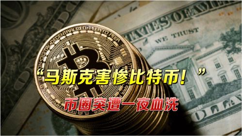 比特币打架时间,揭秘2024年的重要节点