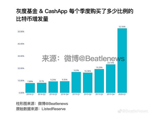 美国屯比特币,投资机会还是泡沫风险？