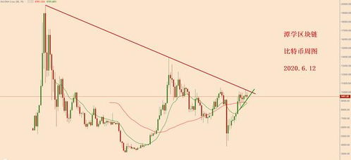 比特币上轨视频,解析其市场动态与未来展望