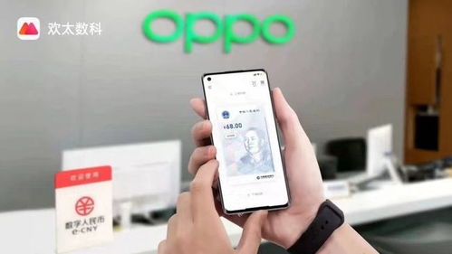 OPPO钱包最新版,OPPO钱包最新版全面升级，便捷生活从此开启