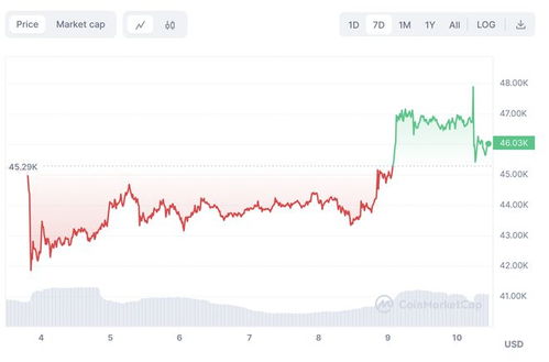 比特币etf 结果,持续增长与投资机遇