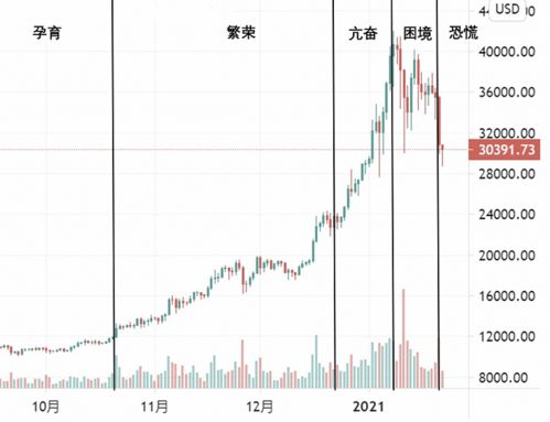 比特币风险累积,揭秘数字货币市场的潜在危机