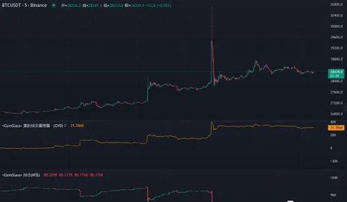 比特币etf国内,比特币ETF在中国市场的崛起与展望