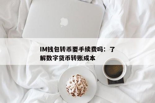 im钱包转币要手续费吗,IM钱包转币手续费详解