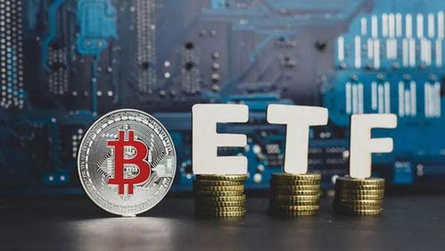 比特币 现货etf,市场动态与投资分析