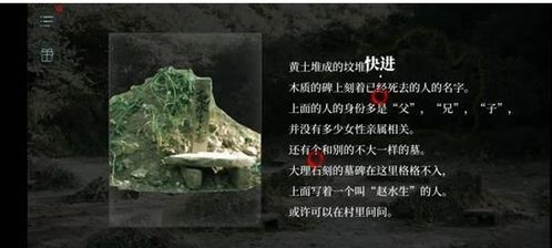 比特币坟墓图文,历史与现实的交织