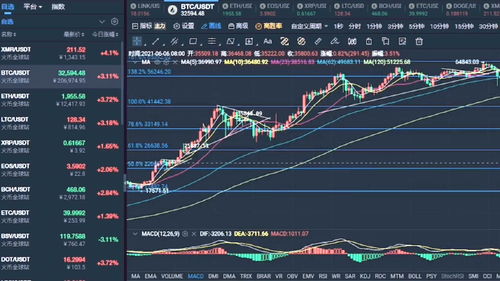 分析比特币行情,牛市趋势下的波动与机遇