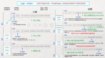 比特币public key,理解其重要性及生成过程