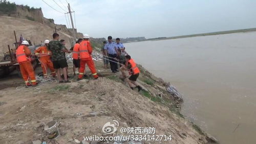 比特币男子跳河,比特币投资失败，男子跳河自杀