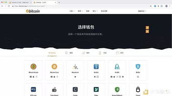 比特派只能存比特币吗,不仅仅是比特币的存储工具