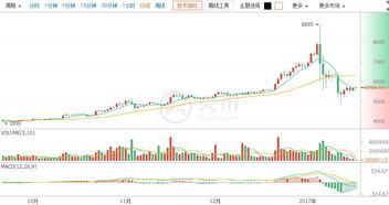 比特币 行情图,趋势、波动与未来展望