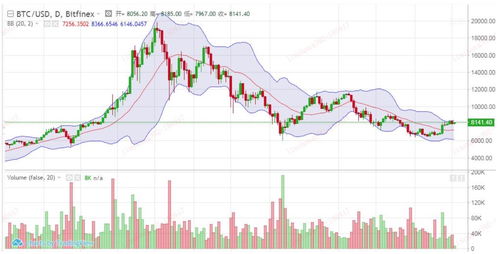 比特比特币行情走势图,波动中的机遇与风险