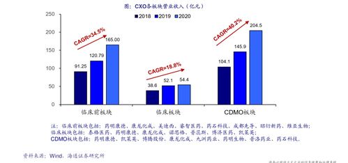 比特币股票稳定性,机遇与挑战并存