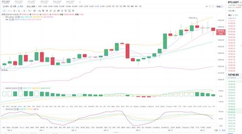 比特币中午走势,波动中寻找机遇