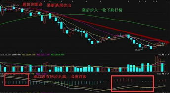 比特币零轴指的是哪里,比特币 零轴 技术分析 价格走势 加密货币