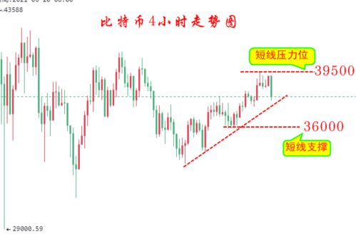 比特币最伤心的事,从财富巅峰到失落深渊的跌宕起伏