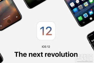 ios 12正式版 怎么安装skype,iOS 12正式版安装Skype指南