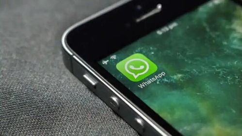 gb whatsapp baixar,解锁更多WhatsApp功能与体验