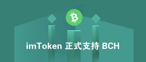 imtoken bch,BCH资产管理新篇章