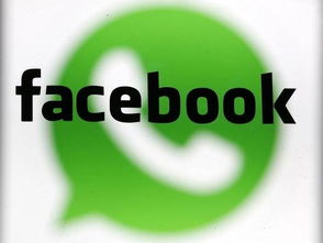 facebook_whatsapp,Facebook与WhatsApp的融合与创新之旅