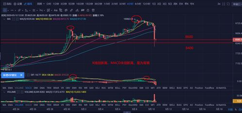 20分钟加密货币行情,加密货币市场行情动态概览