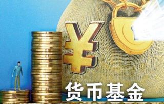 fvi加密货币基金,引领市场潮流的避险与风投新选择”