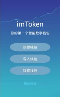 imtoken导入钱包全过程,imtoken钱包导入钱包全攻略