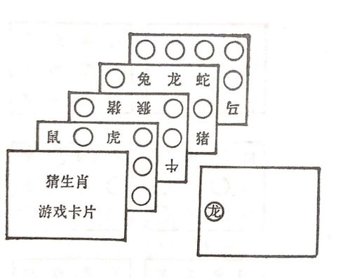 猜生肖游戏,趣味猜生肖游戏带你领略中国传统文化