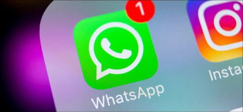 do加whatsapp,如何利用Do与WhatsApp打造高效沟通体验