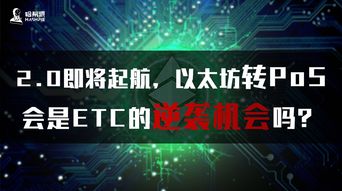 etc以太坊分,探索区块链技术的未来潜力