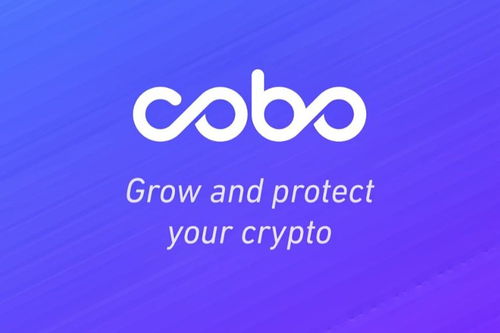 cobo以太坊,引领区块链金融新潮流的智能钱包解析