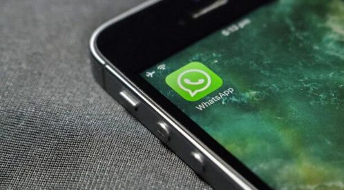 ios whatsapp 双开,轻松实现双账号同步使用