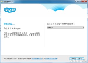 skype windows版怎么添加联系人,Skype Windows版添加联系人详细步骤解析