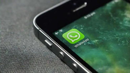 downlpad gb whatsapp,功能丰富、隐私保护的双重体验