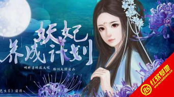 妖妃橙光游戏,宫廷权谋与情感纠葛的橙光游戏之旅
