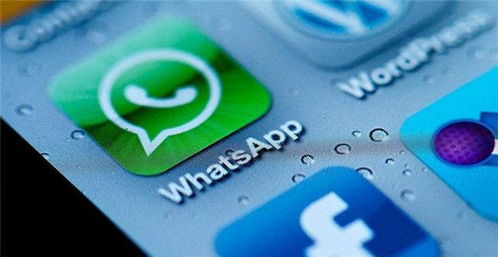Facebook的WhatsApp组,社交新趋势下的沟通革命与人际互动新篇章
