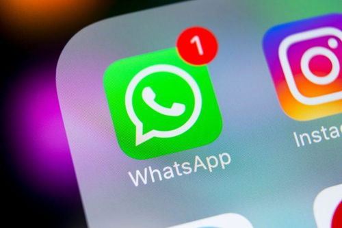 bazar whatsapp,社交新宠的崛起与魅力