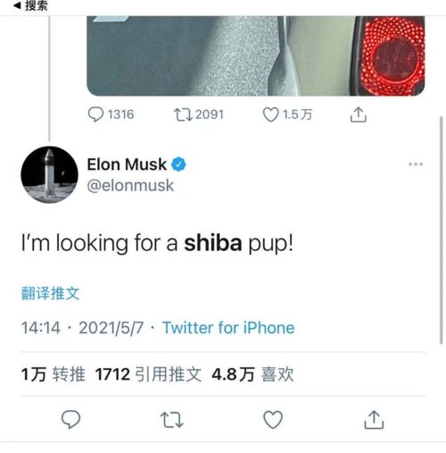 fomo加密货币,捕捉市场热点的投资新选择